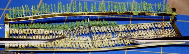 painted cornfield